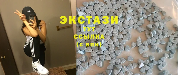 ECSTASY Богданович